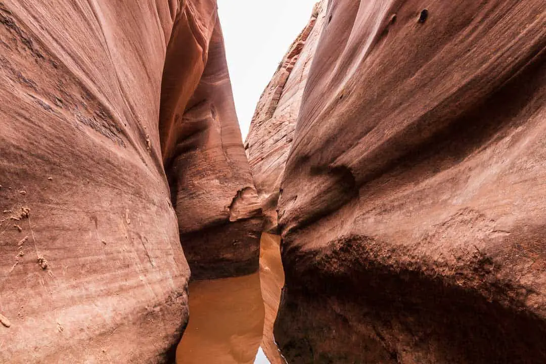 Hiking Zebra Slot canyon through water