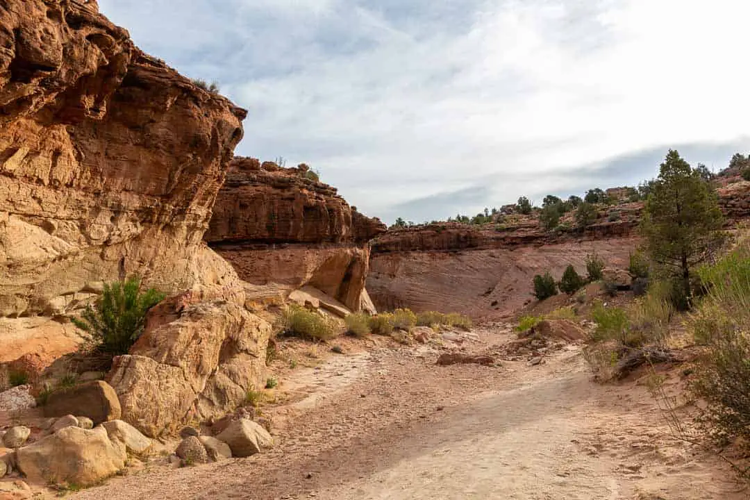 Following the wide path toward the entrance to Zebra Slot Canyon