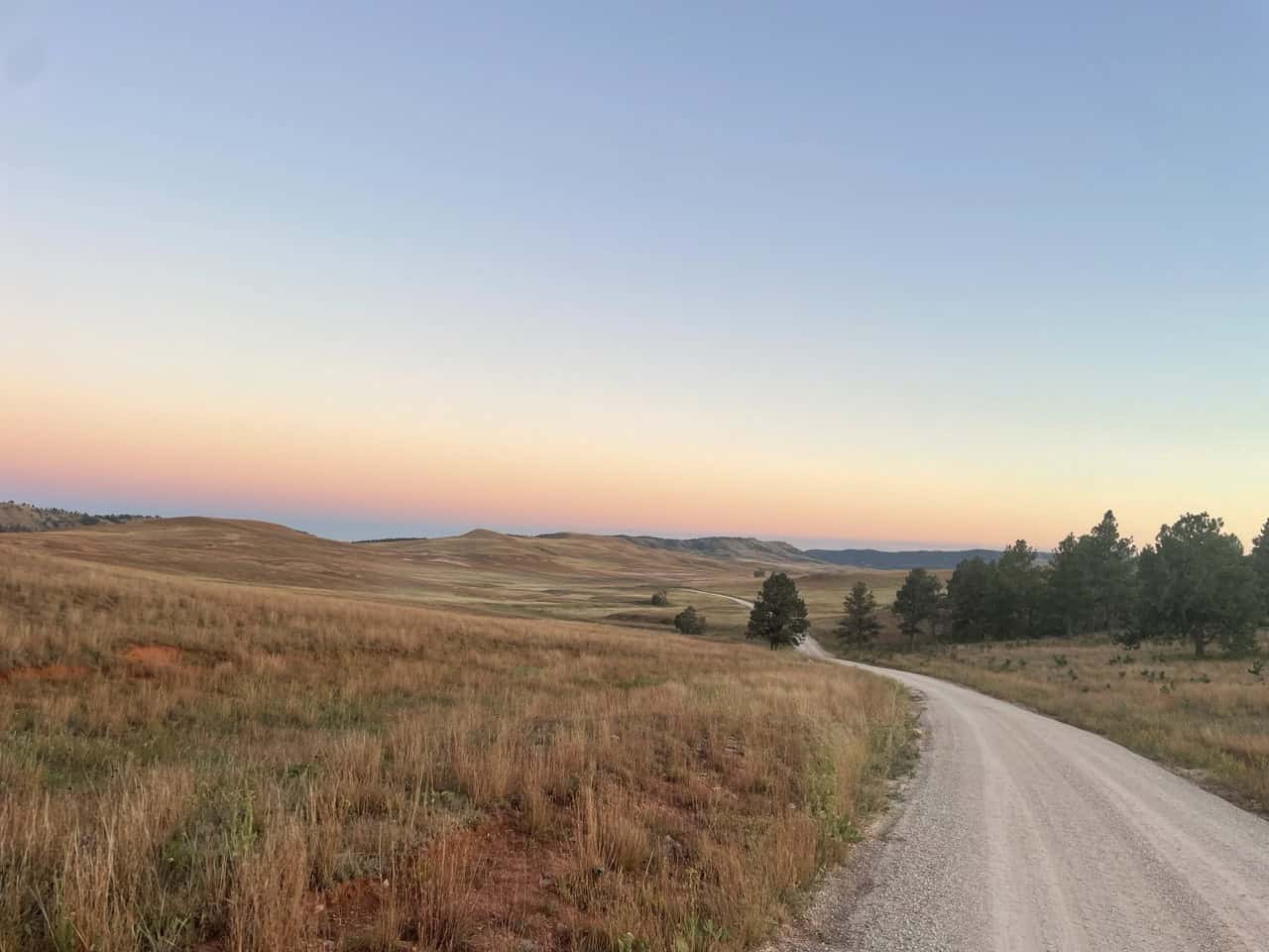 dirt road in custer state park