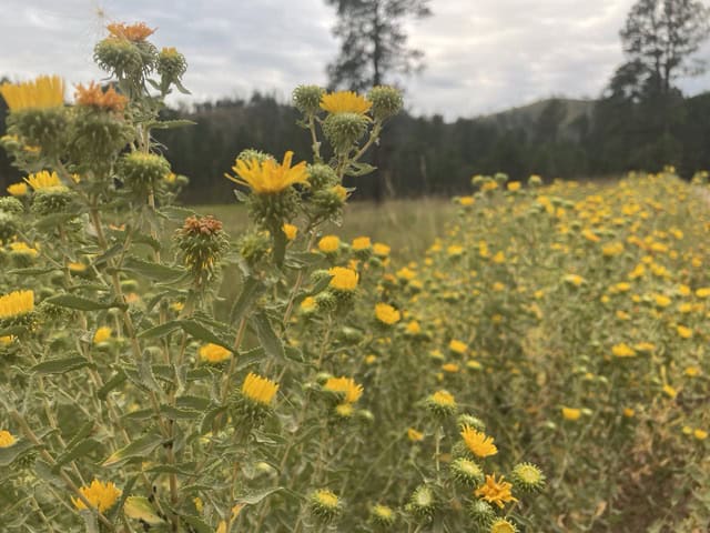 October 1 Newsletter Feature